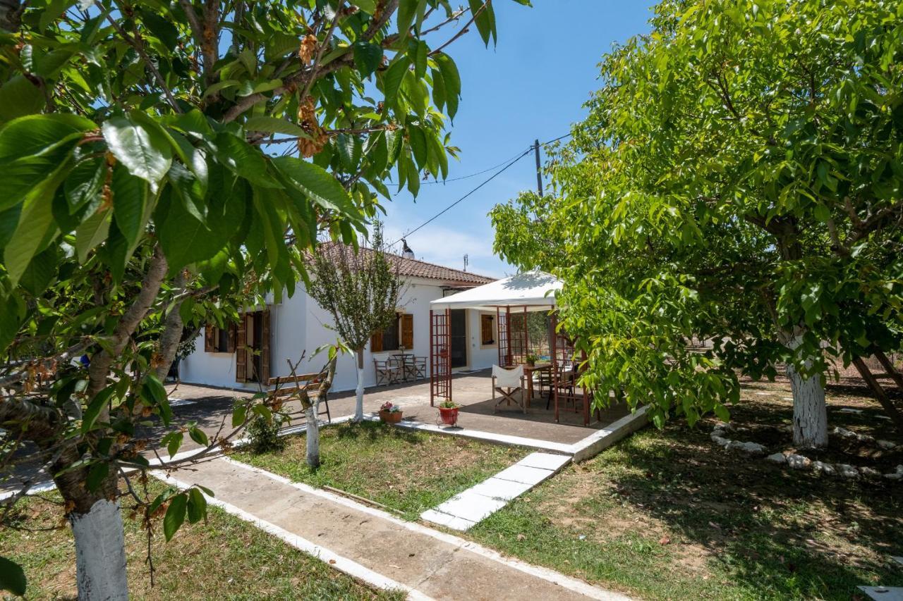 Nagia'S House, Εξοχική Κατοικία Κοντά Στη Θάλασσα! Korakokhórion المظهر الخارجي الصورة